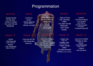 affiche-verso-programmation-apl_1.jpg